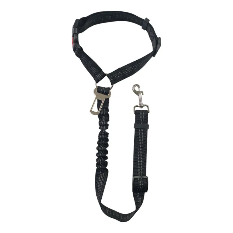 Black dog harness and leash set on a white background