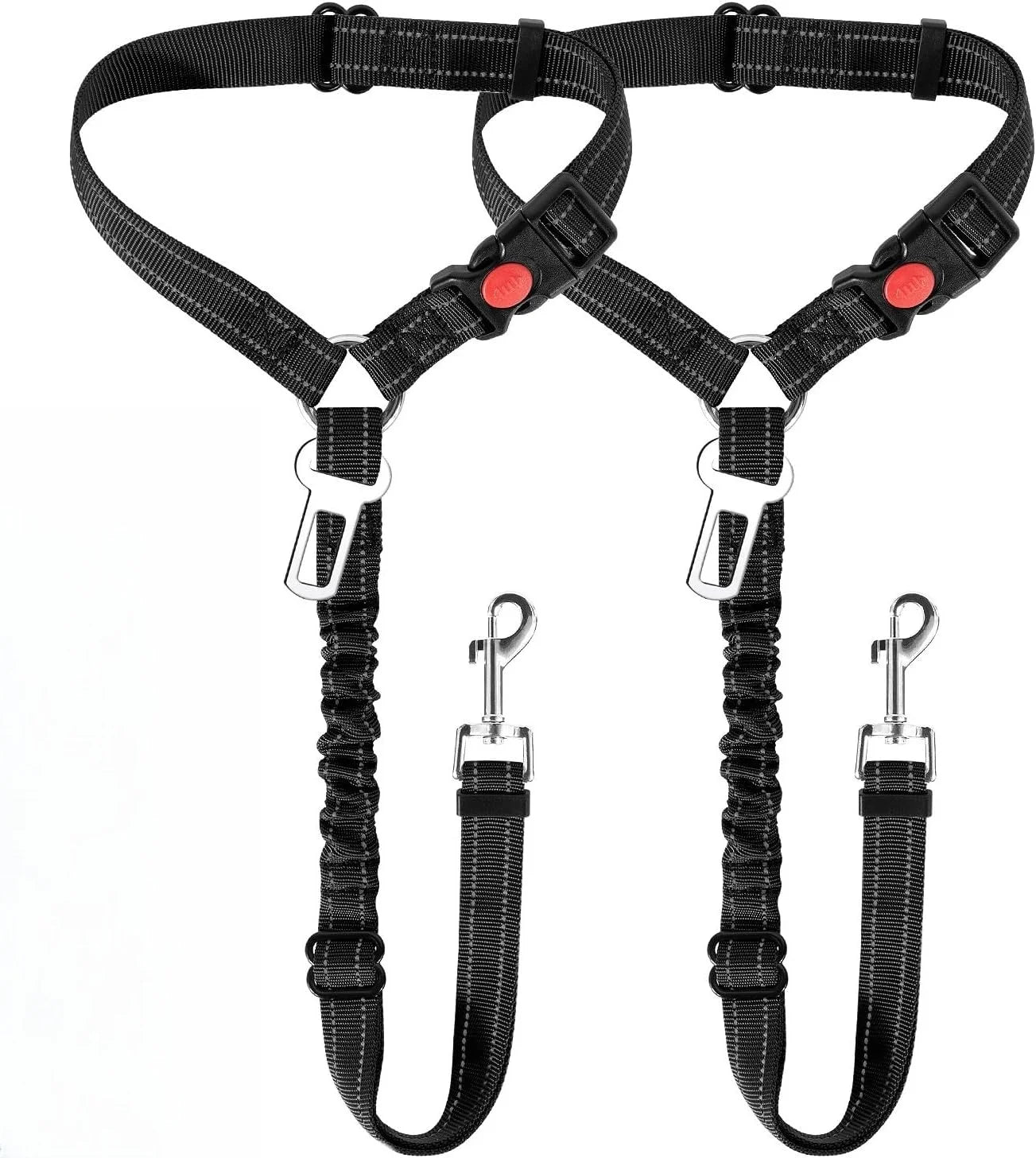 Black dog harness and leashes with red buttons on a white background