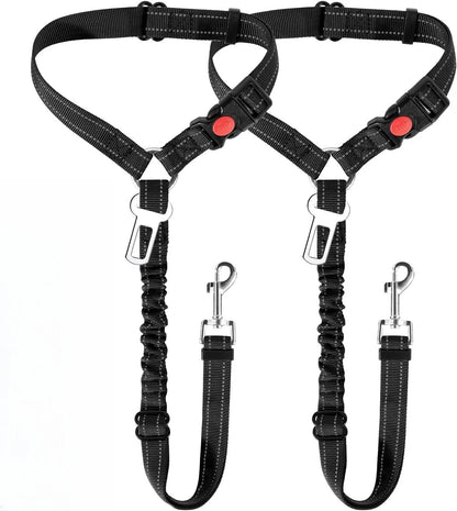 Black dog harness and leashes with red buttons on a white background