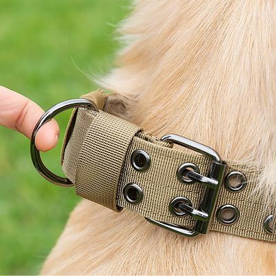 Close-up of a beige dog collar with metal hardware on a blurred green background