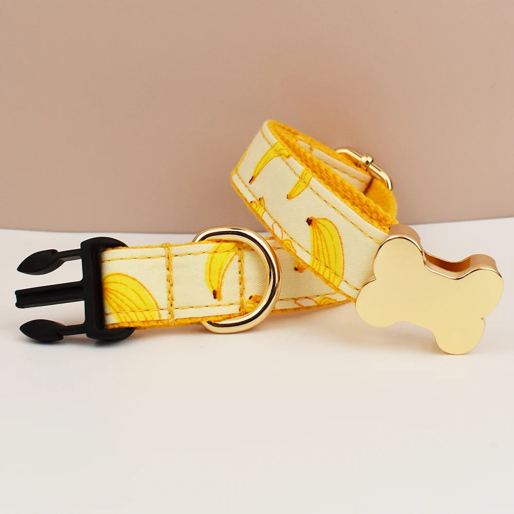 Dog collar with bone-shaped tag on a beige background