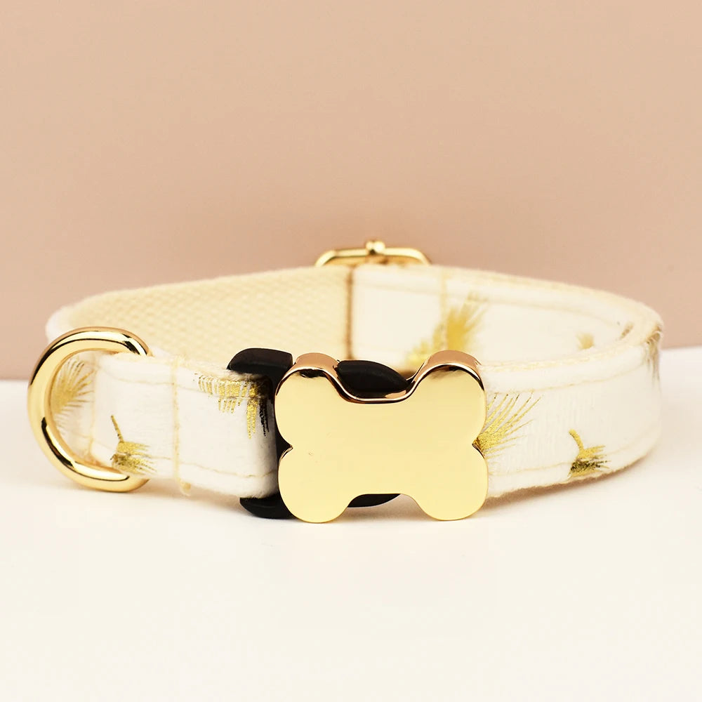 Dog collar with gold bone-shaped tag on a beige background