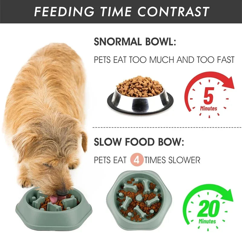 Dog eating from a normal bowl and a slow food bowl with text on feeding time contrast.