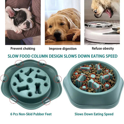 Dog food bowl with slow feed design features and benefits listed.
