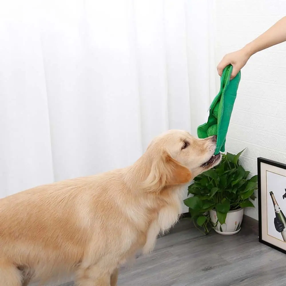 Dog playing with a green toy held by a person indoors.