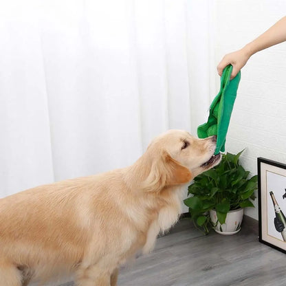 Dog playing with a green toy held by a person indoors.