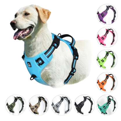 Dog wearing a blue harness with color options displayed around it.