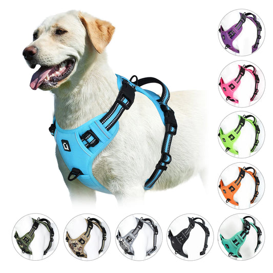 Dog wearing a blue harness with color options displayed around it.
