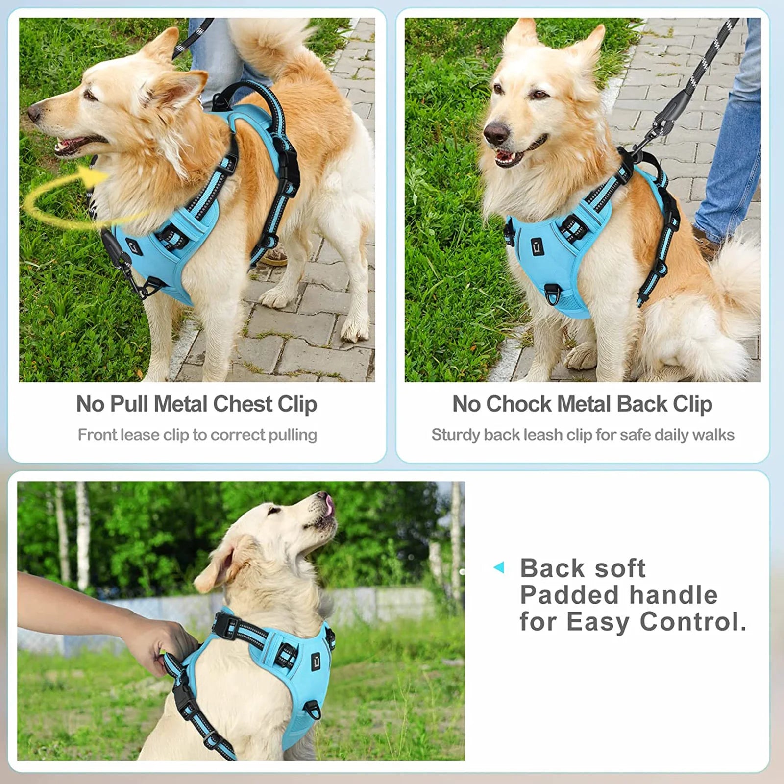 Dog wearing a blue harness with features highlighted on a green background