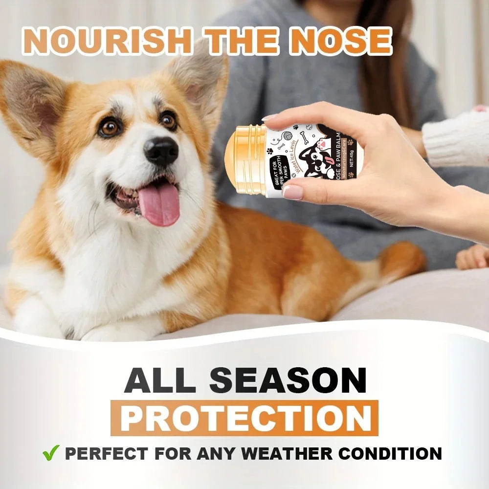 Dog with a bottle labeled 'Nourish the Nose' and text about all-season protection.