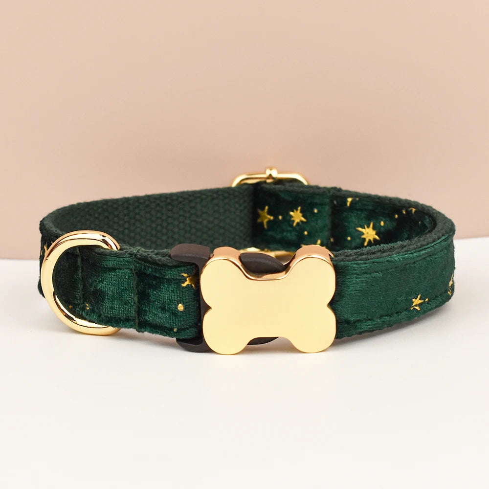 Green dog collar with gold bone-shaped tag on a beige background