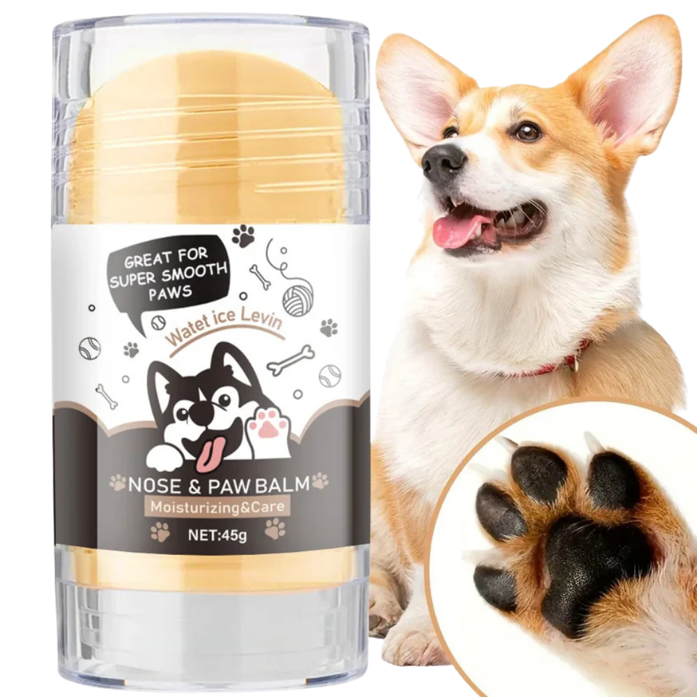 Nose and paw balm for dogs with a dog and paw close-up on a white background