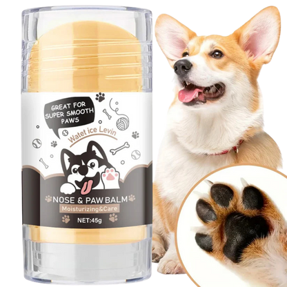 Nose and paw balm for dogs with a dog and paw close-up on a white background