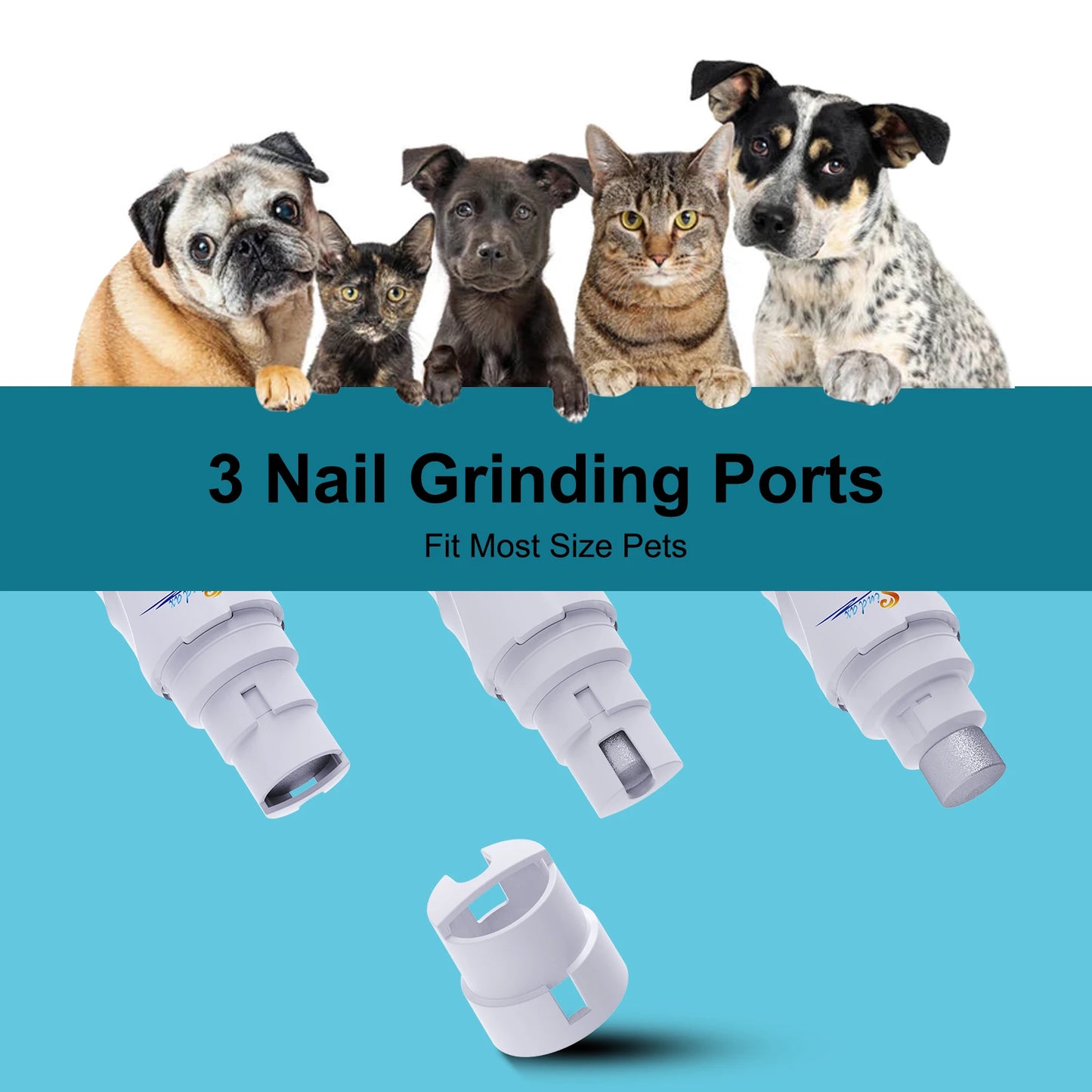 Pet nail grinding ports with dogs and cats on a blue background