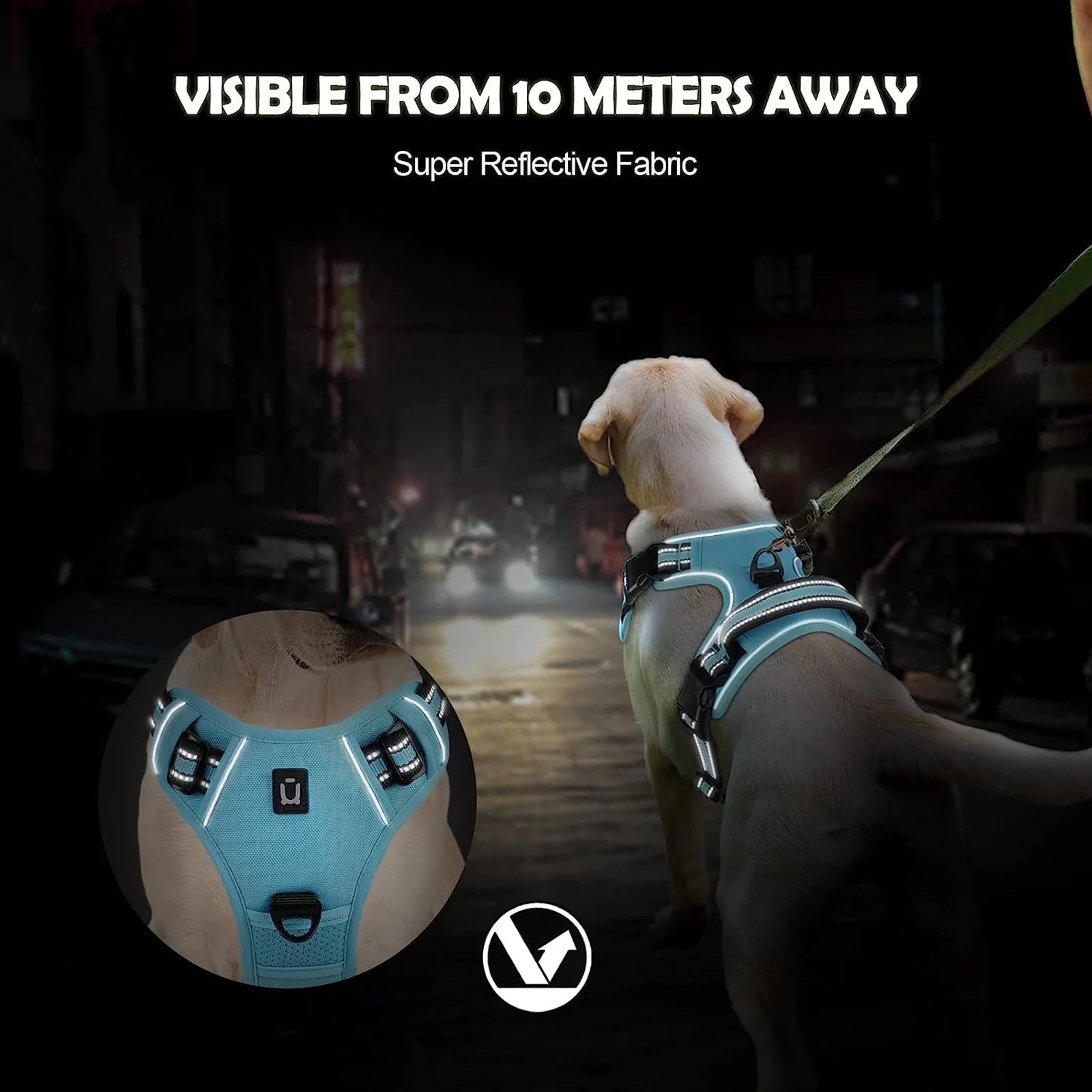 Dog wearing a reflective harness with text 'Visible from 10 meters away' in a dark setting.