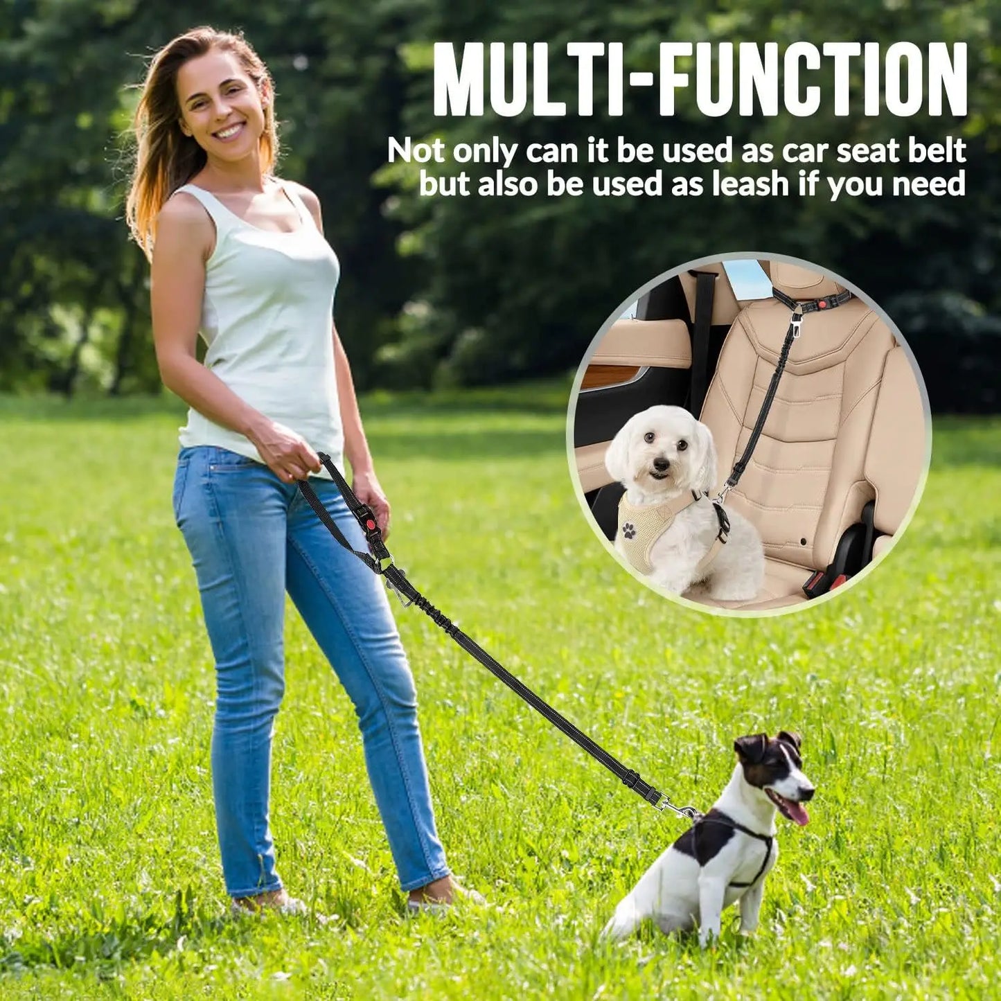 Woman walking a dog with a multi-function belt, showing it as a car seat belt and leash.