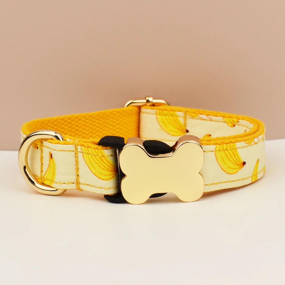 Yellow dog collar with bone-shaped buckle on a beige background