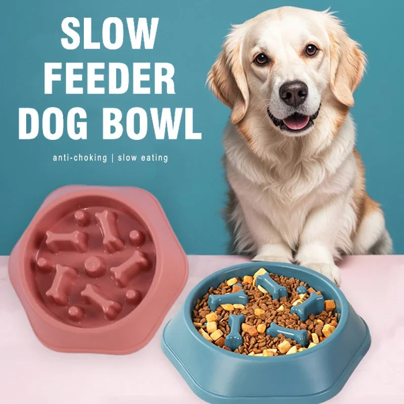 Dog with a slow feeder dog bowl and pink bone-shaped feeder on a blue background