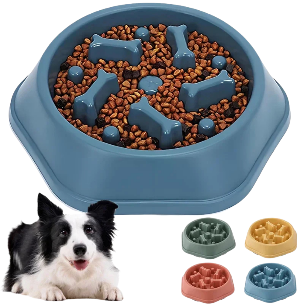 Blue dog food bowl with raised sections filled with kibble, accompanied by a black and white dog.