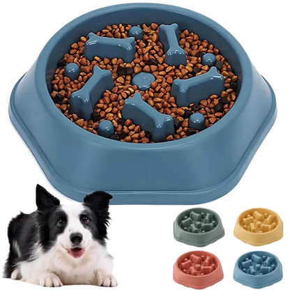 Blue dog food bowl with raised sections filled with kibble, accompanied by a black and white dog.