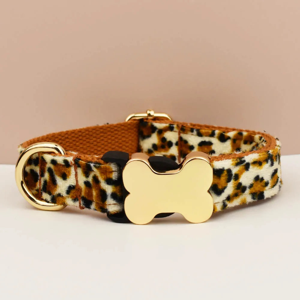 Leopard print dog collar with a gold bone-shaped buckle on a beige background