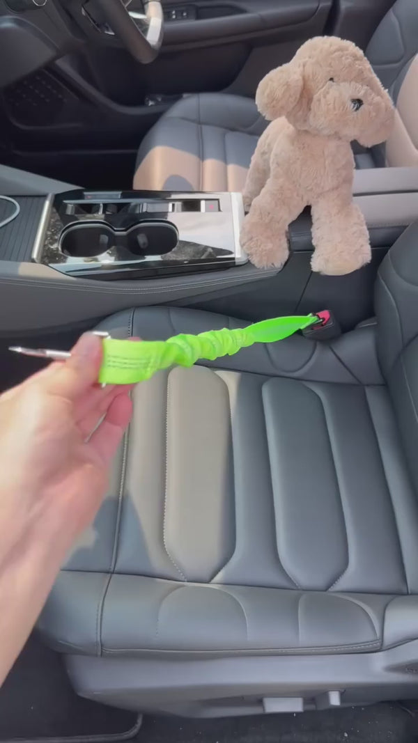 Adjustable dog car seat belt for safe travel