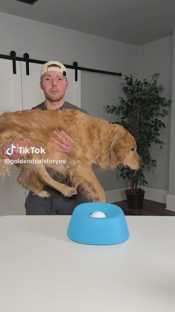Puppy eating from a stainless steel dog bowl