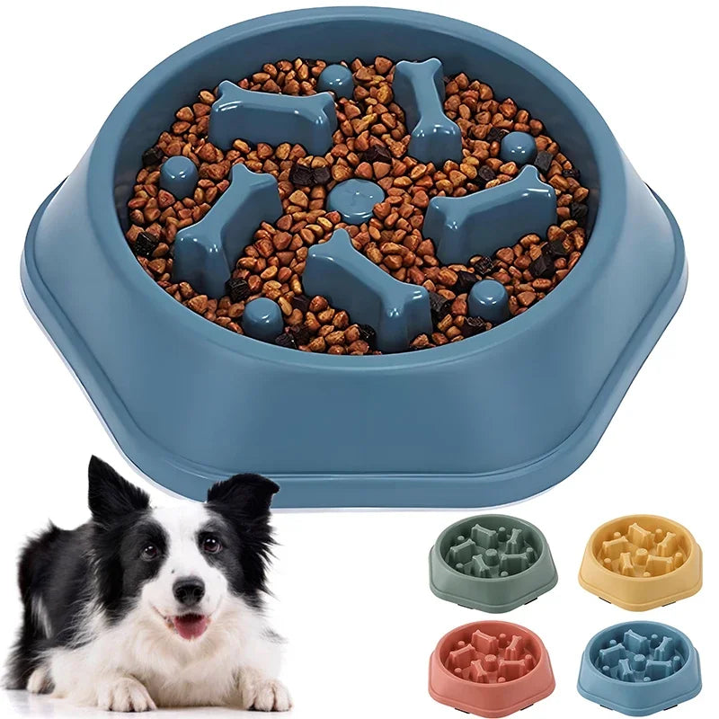 Blue dog food bowl with kibble and bone-shaped treats, accompanied by a dog and other color options.
